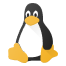 Linux Expert